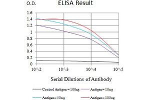 Black line: Control Antigen (100 ng),Purple line: Antigen (10 ng), Blue line: Antigen (50 ng), Red line:Antigen (100 ng) (CCL4 antibody  (AA 24-92))