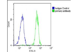 Overlay histogram showing SK-OV-3 cells stained with A(green line).