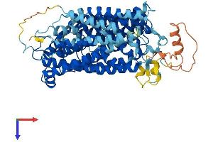AlphaFold protein structure predicition of Mouse Recombinant Slc5a12 Protein, UniprotID Q49B93 (SLC5A12 Protein (AA 1-619) (His tag))