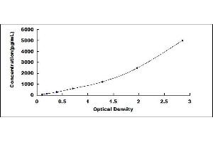 Typical standard curve (PRCP ELISA Kit)