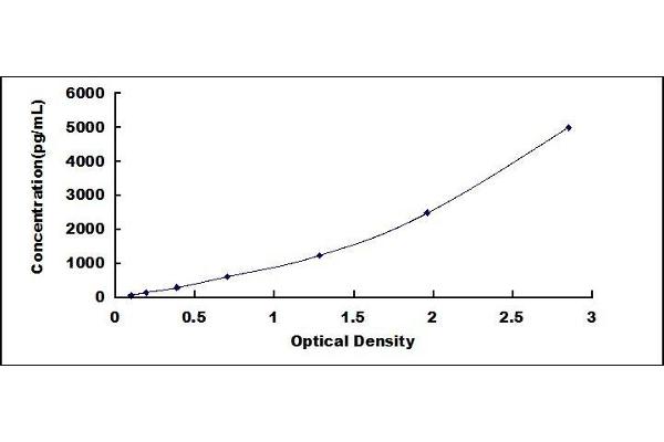 PRCP ELISA Kit