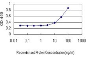 Detection limit for recombinant GST tagged TBX6 is approximately 3ng/ml as a capture antibody. (T-Box 6 antibody  (AA 191-299))
