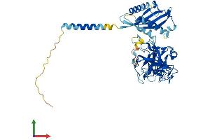 AlphaFold protein structure predicition of Mouse Recombinant Tmprss11f Protein, UniprotID Q8BHM9 (TMPRSS11F Protein (AA 1-439) (His tag))