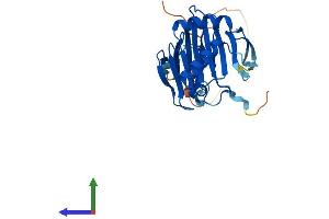 AlphaFold protein structure predicition of Mouse Recombinant Alkbh3 Protein, UniprotID Q8K1E6