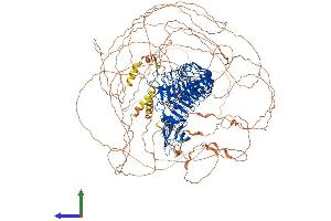 AlphaFold protein structure predicition of Mouse Recombinant Lrrc7 Protein, UniprotID Q80TE7 (LRRC7 Protein (AA 1-1490) (His tag))