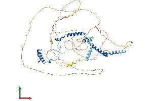 AlphaFold protein structure predicition of Human Recombinant PHACTR2 Protein, UniprotID O75167