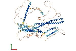 AlphaFold protein structure predicition of Human Recombinant DISC1 Protein, UniprotID Q9NRI5 (DISC1 Protein (AA 1-854) (His tag))