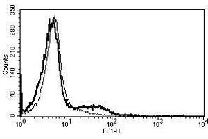 A typical staining pattern with the B-A19 monoclonal antibody of lymphocytes (CD56 antibody)