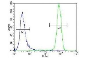 c-Kit antibody flow cytometric analysis of NCI-H460 cells (green) compared to a negative control cell (blue). (KIT antibody  (AA 106-135))