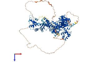S1 RNA Binding Domain 1 (SRBD1) (AA 1-995) protein (His tag)