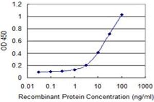Detection limit for recombinant GST tagged RNF113A is 0. (RNF113A antibody  (AA 1-343))