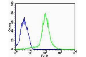 Flow Cytometry (FACS) image for anti-F-Box and Leucine-Rich Repeat Protein 17 (FBXL17) (AA 262-297), (C-Term), (Isoform 2) antibody (ABIN1944744)
