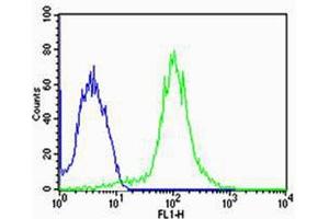 Flow cytometric analysis of MCF-7 cells using FBXL17 Isoform 2 Antibody (C-term)(green, Cat(ABIN1944744 and ABIN2838540)) compared to an isotype control of rabbit IgG(blue). (FBXL17 antibody  (C-Term, Isoform 2))