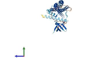 Protein Structure (PS) image for SH3-Domain GRB2-Like Endophilin B1 (SH3GLB1) (AA 1-365) protein (His tag) (ABIN7565110)