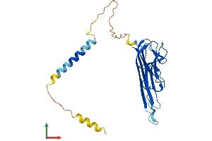 AlphaFold protein structure predicition of Mouse Recombinant Tnf Protein, UniprotID P06804 (TNF alpha Protein (AA 1-235) (His tag))