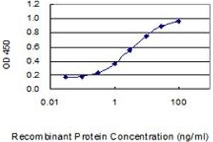 Detection limit for recombinant GST tagged SLC45A4 is 0. (SLC45A4 antibody  (AA 1-192))