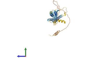 Protein Structure (PS) image for Calcium Channel, Voltage-Dependent, gamma Subunit 4 (CACNG4) (AA 1-327) protein (His tag) (ABIN7553048)