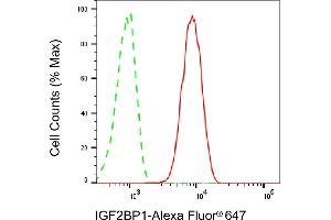 Flow cytometric analysis of IGF2BP1 expression in HT- cells using IGF2BP1 antibody (ABIN7799050), 1:2,000).