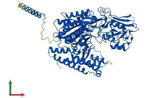 AlphaFold protein structure predicition of Mouse Recombinant Naaladl1 Protein, UniprotID Q7M758