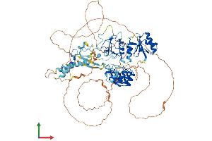 AlphaFold protein structure predicition of Mouse Recombinant Bard1 Protein, UniprotID O70445 (BARD1 Protein (AA 1-765) (His tag))