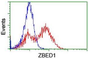 Image no. 2 for anti-Zinc Finger, BED-Type Containing 1 (ZBED1) antibody (ABIN1501795) (ZBED1 antibody)