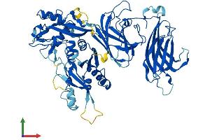 AlphaFold protein structure predicition of Human Recombinant CAPN6 Protein, UniprotID Q9Y6Q1 (Calpain 6 Protein (CAPN6) (AA 1-641) (His tag))