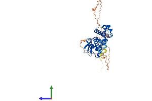 AlphaFold protein structure predicition of Human Recombinant SPDEF Protein, UniprotID O95238