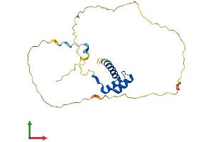 AlphaFold protein structure predicition of Human Recombinant HOXC5 Protein, UniprotID Q00444