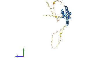 Protein Structure (PS) image for TGFB-Induced Factor Homeobox 2 (TGIF2) (AA 1-237) protein (His tag) (ABIN7544403)