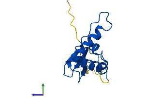 AlphaFold protein structure predicition of Mouse Recombinant Eloc Protein, UniprotID P83940 (TCEB1 Protein (AA 1-112) (His tag))