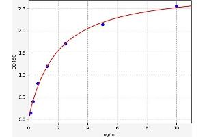 Sulfiredoxin 1 ELISA Kit