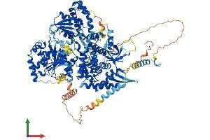 AlphaFold protein structure predicition of Mouse Recombinant Dhx36 Protein, UniprotID Q8VHK9 (DHX36 Protein (AA 1-1001) (His tag))