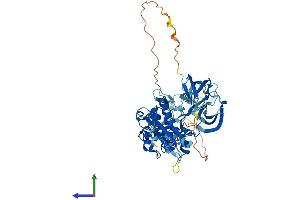 AlphaFold protein structure predicition of Human Recombinant TXK Protein, UniprotID P42681 (TXK Protein (AA 1-527) (His tag))