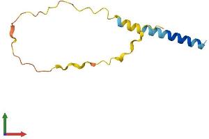 AlphaFold protein structure predicition of Human Recombinant CYSTM1 Protein, UniprotID Q9H1C7 (C5orf32 Protein (AA 1-97) (His tag))