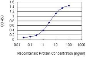 Detection limit for recombinant GST tagged NCAM1 is 0. (CD56 antibody  (AA 611-710))