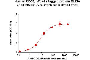 ELISA plate pre-coated by 1 μg/mL (100 μL/well) Human CD33(18-259) Protein, hFc-His Tag(ABIN6961110, ABIN7042249 and ABIN7042250) can bind Anti-CD33 Rabbit mAb in a linear range of 3. (CD33 Protein (CD33) (AA 18-259) (Fc-His Tag))
