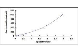 Fast Skeletal Troponin I (TNNI2) ELISA Kit