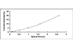 Typical standard curve (NSF ELISA Kit)