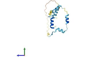 AlphaFold protein structure predicition of Human Recombinant RPS19BP1 Protein, UniprotID Q86WX3 (RPS19BP1 Protein (AA 1-136) (His tag))