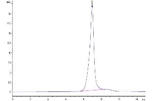 Size-exclusion chromatography-High Pressure Liquid Chromatography (SEC-HPLC) image for B and T Lymphocyte Associated (BTLA) (AA 31-150) protein (His-Avi Tag,Biotin) (ABIN7273999)