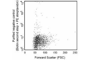 Immunofluorescent staining and flow cytometric analysis of enriched dendritic cells from rat spleen. (Dendritic Cells antibody)