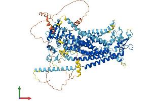 AlphaFold protein structure predicition of Mouse Recombinant Ano3 Protein, UniprotID A2AHL1 (ANO3 Protein (AA 1-981) (His tag))