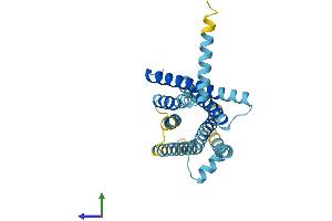 AlphaFold protein structure predicition of Mouse Recombinant Tas2r114 Protein, UniprotID Q7M722 (TAS2R114 Protein (AA 1-309) (His tag))