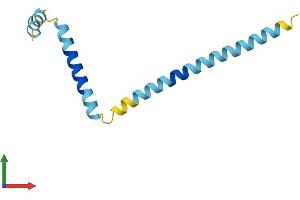 AlphaFold protein structure predicition of Mouse Recombinant G0s2 Protein, UniprotID Q61585