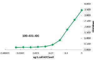 ELISA of Rabbit anti-Low Molecular Weight Host Cell Protein antibody. (LMW HCP antibody)