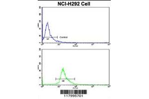Flow cytometric analysis of NCI-H292 cells using CD201 Antibody (bottom histogram) compared to a negative control cell (top histogram). (PROCR antibody  (AA 104-132))