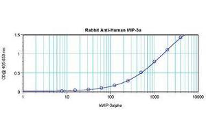 Image no. 3 for anti-Chemokine (C-C Motif) Ligand 20 (CCL20) antibody (ABIN465457) (CCL20 antibody)