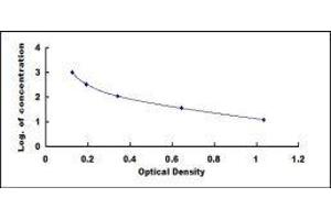 ELISA image for Asymmetrical Dimethylarginine (ADMA) ELISA Kit (ABIN1118084)
