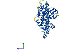 AlphaFold protein structure predicition of Mouse Recombinant Chst11 Protein, UniprotID Q9JME2