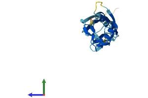 Protein Structure (PS) image for Ubiquitin D (UBD) (AA 1-165) protein (His tag) (ABIN7555935)